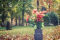 Bouquet of poppy flowers in a sunny autumn cemetery Royalty Free Stock Photo