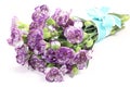 Bouquet of Purple Carnations