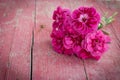 Bouquet of purple carnations on pink wooden background Royalty Free Stock Photo