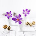 Bouquet of purple crocus flowers in vase and eggs. Royalty Free Stock Photo
