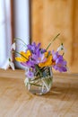 Bouquet of purple crocus in vase.