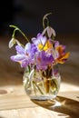 Bouquet of purple crocus in vase.