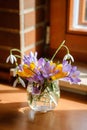 Bouquet of purple crocus in vase.