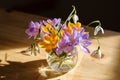 Bouquet of purple crocus in vase.