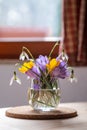 Bouquet of purple crocus in vase.