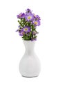 Bouquet purple daisy in vase Royalty Free Stock Photo