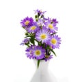 Bouquet purple daisy in vase Royalty Free Stock Photo