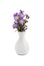 Bouquet purple daisy in vase Royalty Free Stock Photo