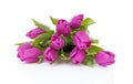 Bouquet of purple Dutch tulips