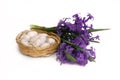 Bouquet of purple hyacinth