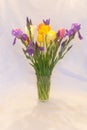 Bouquet of purple irises and yellow-pink tulips in a glass vase Royalty Free Stock Photo
