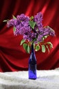 Bouquet of purple lilacs in blue vase on red draped background Royalty Free Stock Photo