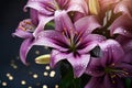 Bouquet of purple lillies with rain drops 3