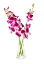 Bouquet of purple orchids in glass vase