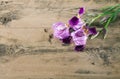 Bouquet of purple purple iris on a wooden background