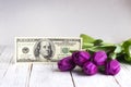 Bouquet of purple tulips and American money $100, a gift for the holiday, concept Royalty Free Stock Photo