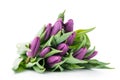 Bouquet of purple tulips isolated on white Royalty Free Stock Photo