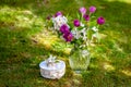 Bouquet of purple tulips and pink apple flowers in glass vase on the lawn background. Royalty Free Stock Photo