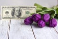 Bouquet of purple tulips and USA currency $100, money - a gift for the holiday, concept Royalty Free Stock Photo