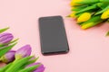 Phone and tulips on pink background Royalty Free Stock Photo