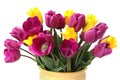 Bouquet of Purple and Yellow Tulips on White Royalty Free Stock Photo