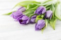 Bouquet of purpleviolet tulips on white rustic wooden backgrou