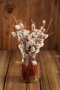 Bouquet of willow twigs in glass jar on wooden background Royalty Free Stock Photo