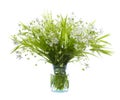 Bouquet of rabelera holostea in a glass vessel with water on a white background