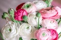 Bouquet of ranunculus of different shades Royalty Free Stock Photo
