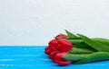 Bouquet of red blooming tulips with green stems and leaves, flowers lie on a blue wooden background Royalty Free Stock Photo