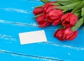 Bouquet of red blooming tulips with green stems and leaves, flowers lie on a blue wooden background Royalty Free Stock Photo