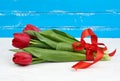 Bouquet of red blooming tulips with green stems and leaves tied with a red silk ribbon Royalty Free Stock Photo