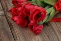 Bouquet of red blooming tulips with green stems and leaves tied with a red silk ribbon Royalty Free Stock Photo