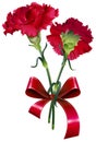 Bouquet of red carnation flower isolated on white Royalty Free Stock Photo