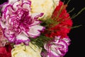 Bouquet of red carnation flowers Dianthus on black background, close up. Royalty Free Stock Photo