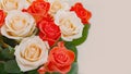 Bouquet of red and cream roses on a light background with place for text