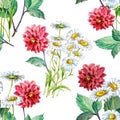 Bouquet Red Dahlia and White Chamomiles of Watercolor. Floral Seamless Pattern on a White Background.