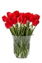 Bouquet of red flowers tulips in vase, isolated on white background Royalty Free Stock Photo