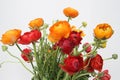 Bouquet of red and orange flowers against white Royalty Free Stock Photo