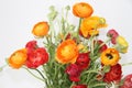 Bouquet of red and orange flowers against white Royalty Free Stock Photo
