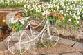 A bouquet of red plastic roses in a white bicycle basket used to decorate the garden Royalty Free Stock Photo