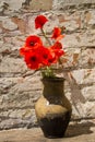 Bouquet of red poppies in clay jug on wooden table against old brick wall Royalty Free Stock Photo