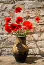 Bouquet of red poppies in clay jug on wooden table Royalty Free Stock Photo