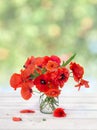 Bouquet of red poppies  corn poppy, corn rose, field poppy, red weed, coquelicot  in small vase on white wooden table Royalty Free Stock Photo