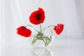 A bouquet of red poppies on the table in a glass vase. Still life with wild flowers in the home interior
