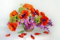 Still life with red poppies in a vase isolated on a white background Royalty Free Stock Photo