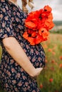 Female hands holding a bouquet of red poppy Royalty Free Stock Photo