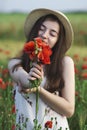 A bouquet of red poppy in the hands of a girl. Walk on the poppy field. Woman walking on a poppy field at sunset with a bouquet of Royalty Free Stock Photo