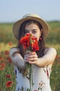 A bouquet of red poppy in the hands of a girl. Walk on the poppy field. Woman walking on a poppy field at sunset with a bouquet of Royalty Free Stock Photo