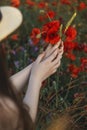 A bouquet of red poppy in the hands of a girl. Walk on the poppy field. Woman walking on a poppy field at sunset with a bouquet of Royalty Free Stock Photo